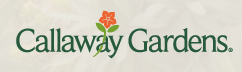 Callaway Gardens TreeTop Adventure Zip Line