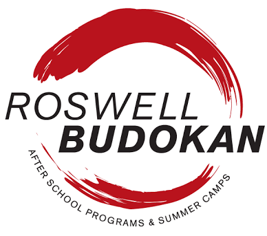Roswell Budokan Full Day Summer Camp Series