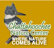Chattahoochee Nature Center Butterfly Festival