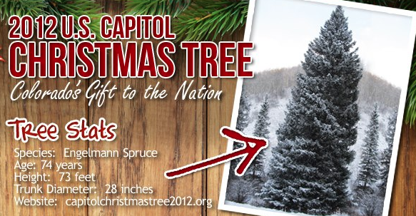 U.s. Capitol Christmas Tree Festivities Scheduled For November 20 In Atlanta, Ga