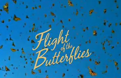 Flight of the Butterflies IMAX at Fernbank Museum of Natural History