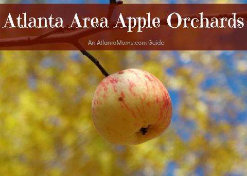 2013 Atlanta Georgia Apple orchards