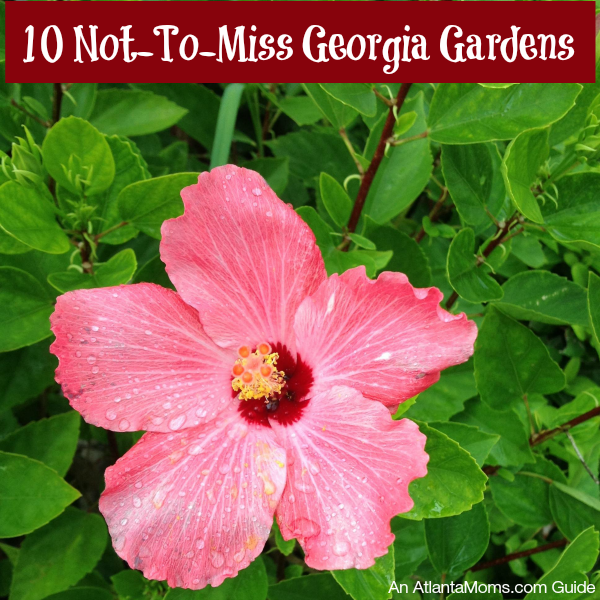 10 Botanical Gardens in Georgia