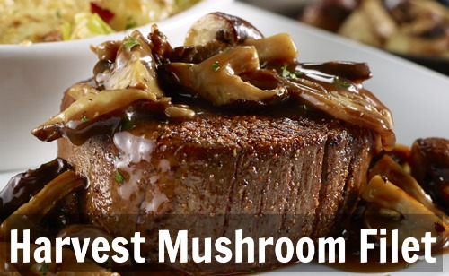 Harvest Mushroom Filet
