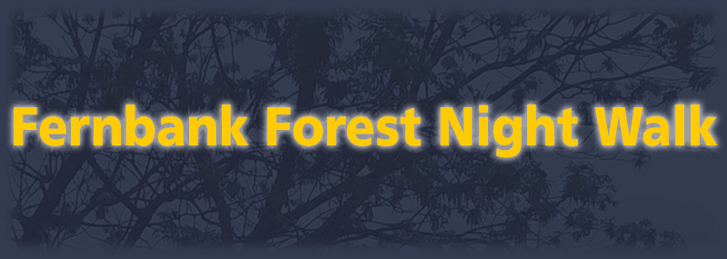 Fernbank Forest Night Walk