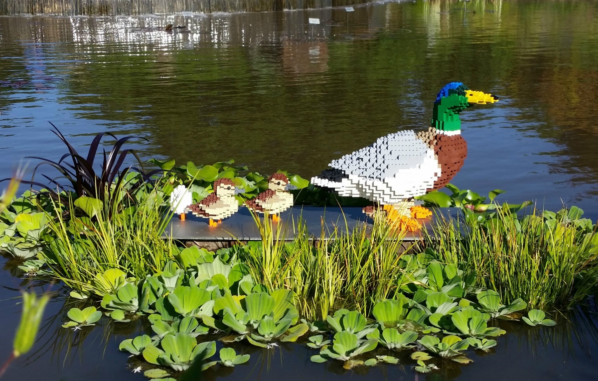 LEGO Exhibit at Atlanta Botanical Garden