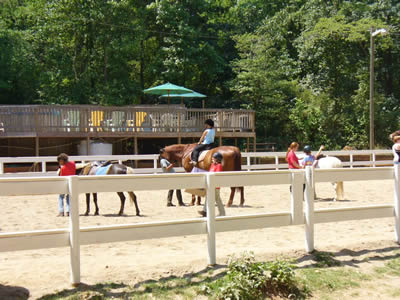 Ellenwood Equestrian Center